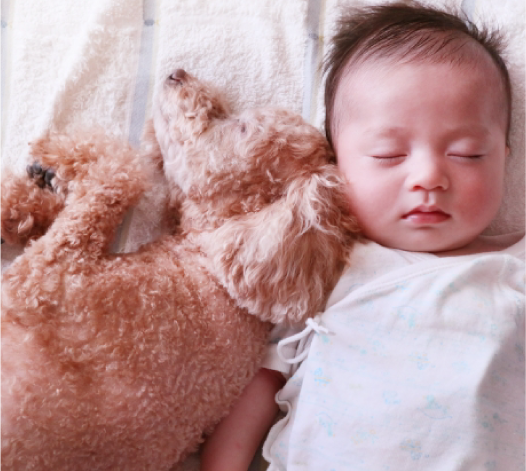 子供・ペットも安心のフォースター！短時間施工で無臭！