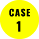 case 1