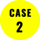 case 2