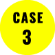case 3